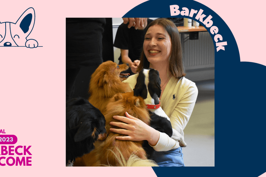 Barkbeck